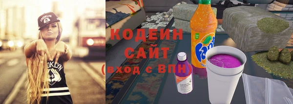 шишки Вяземский