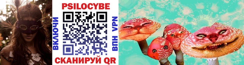 где найти наркотики  Верхний Тагил  Галлюциногенные грибы Cubensis 